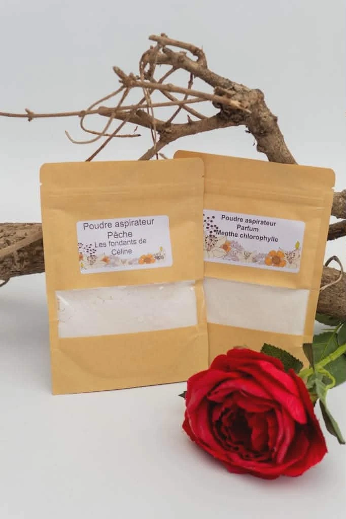 Poudre aspirateur à l'unité